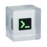 icon